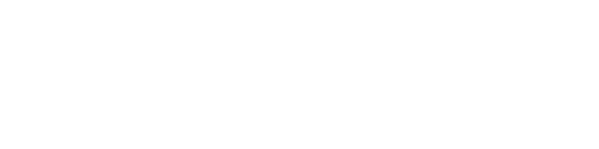 Logo-White-Noah-Basketball Logo-White-Noah-Basketball